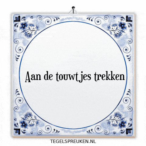 Humor Nl GIF by Tegelspreuken.nl