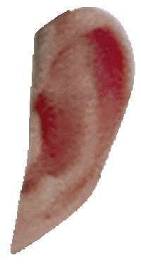 moztech moztech 墨子科技 墨子拼圖 Sticker