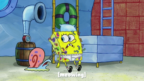 season 10 episode 3 GIF by SpongeBob SquarePants