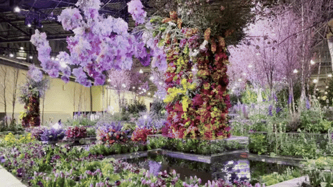 flowers philadelphiaflowershow GIF