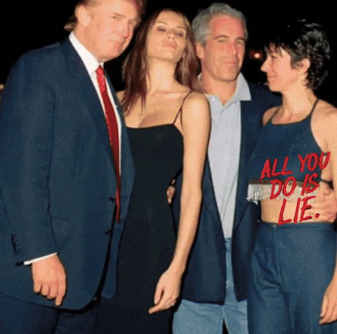 surrendertothegaycation giphyattribution GIF