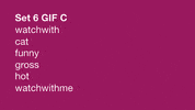 Cat GIF by Watchwith