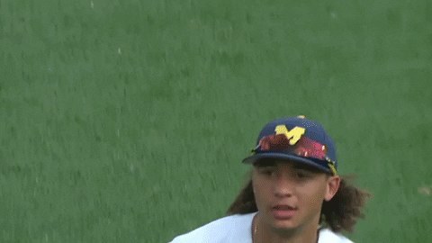 umichathletics giphygifmaker highfive brewer michiganbaseball GIF