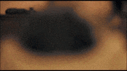 pug help GIF