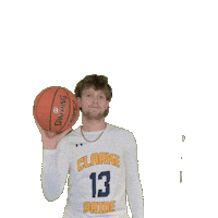 Mens Basketball Sticker by Clarke University