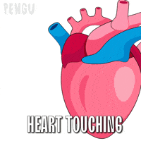 Heart Touching GIF by Pudgy Penguins