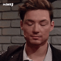 Die Lochis What GIF