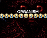 Bro Son GIF