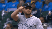 major league baseball sport GIF by MLB