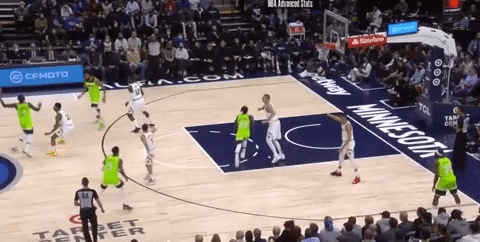 seehafer giphygifmaker minnesota timberwolves GIF