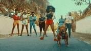 Dave Stewart Girl GIF by Iris Gold