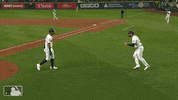 Major League Baseball Sport GIF by MLB
