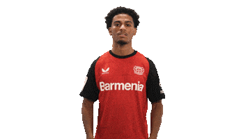 Bayer Leverkusen Cheering Sticker by Bundesliga
