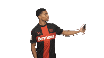 Bayer Leverkusen Selfie Sticker by Bundesliga