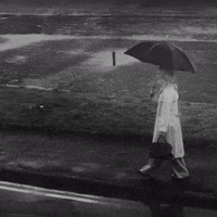 Savior Complex GIF by Phoebe Bridgers