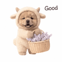 riro_chowchow かわいい 犬 いいね はっぴ GIF