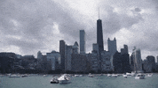 Lori Lightfoot Chicago GIF by Kartemquin Films