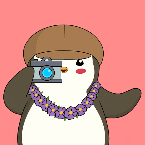 Photography Smile GIF by Pudgy Penguins