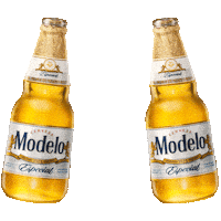beer and food cheers Sticker by Cerveza Modelo Guatemala