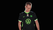 E Sports Sport GIF by VfL Wolfsburg