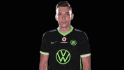 Sport Soccer GIF by VfL Wolfsburg