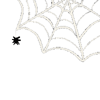 Halloween Spider Sticker