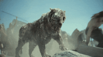 Valentine Roar GIF by NETFLIX