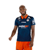 Badu Sticker by MHSC