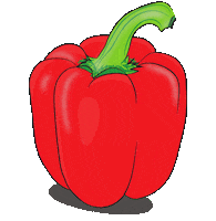 LINDstore vegetable obst vitamine gemuse Sticker