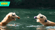 best friends swimming GIF by KiKA