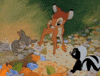 skunk GIF