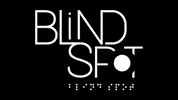BlindSpotKC kansas city blind spot visually impaired blindspotkc GIF