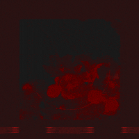 xpandamind flowers abstract random lines GIF