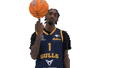 Basketball Hoops Sticker by Basket_fi