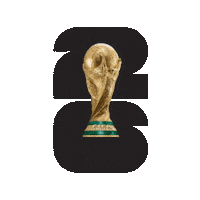 World Cup 2026 Football Sticker by All Jordan Youth Commission
