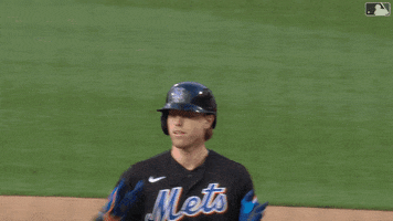 Celebrate Major League Baseball GIF by New York Mets