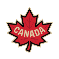 Ice Hockey Yes Sticker by NHL