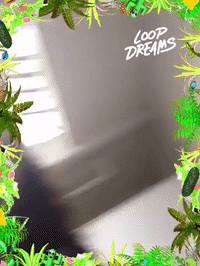 loopdreams by Loop Dreams GIF Booth