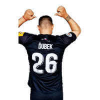Vion Dubek Sticker by Fortuna Liga