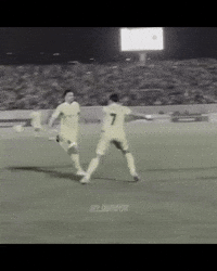 Duhok Turci GIF
