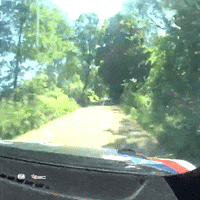 Car Driving GIF by FIA European Rally Championship