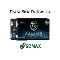 somaxagro ts accelerate somaxagro Sticker
