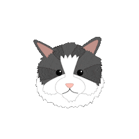Persian Cat Ok Sticker