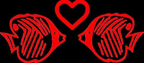 diveadventures giphygifmaker travel diving dive GIF