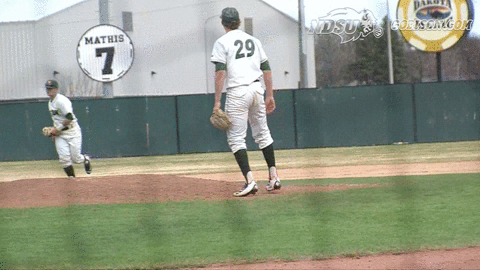 north dakota state baseball GIF by NDSU Athletics