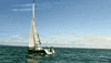 Los Angeles Sunglasses GIF by Hardly Art