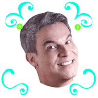 Carnaval Pam Sticker by TV Jornal Interior