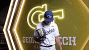 Georgia Tech Baseball GIF by Georgia Tech Yellow Jackets
