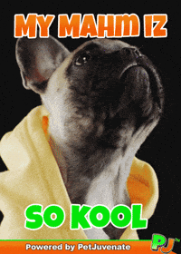 Dog Talk GIF by PetJuvenate - PJ