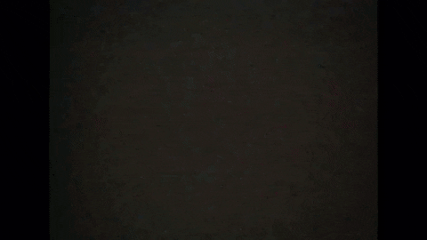 evolutionmusicru giphygifmaker GIF